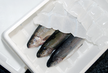 icepads